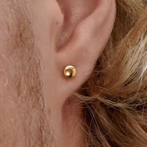 Lucleon Boucle D’oreille « bouton » En Acier Rosegold 4 Mm 16